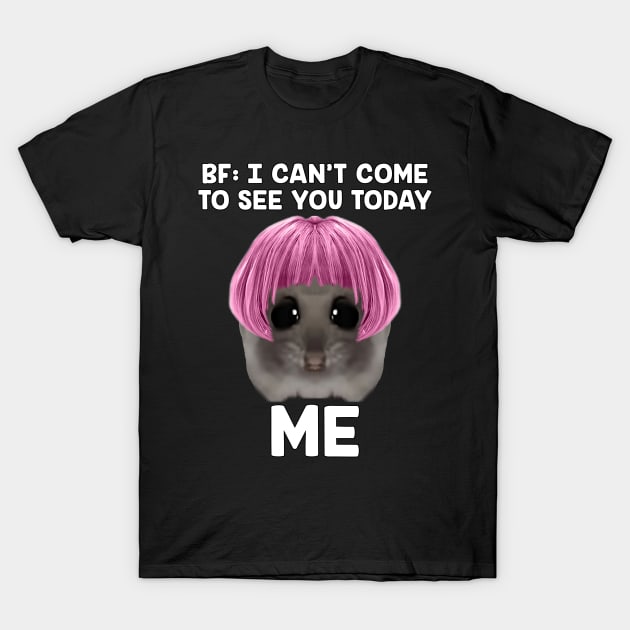 Cute And Funny Sad Hamster Meme Trend T-Shirt by Pharaoh Shop